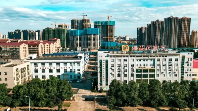 集團益陽茶廠作為益陽市唯一企業入選首批省級非物質文化遺產生產性保護基地彰顯非遺傳承硬實力