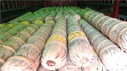 茶葉市場現回暖信號？